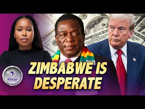 Zimbabwe Lures Donald Trump By Paying White Farmers And Ending Tariffs On U.S Goods