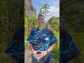 A Top Activity On Maui Helicopter Tour