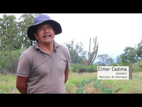 Cerramos un ciclo, abrimos caminos – cierre del proyecto COTRIAbE