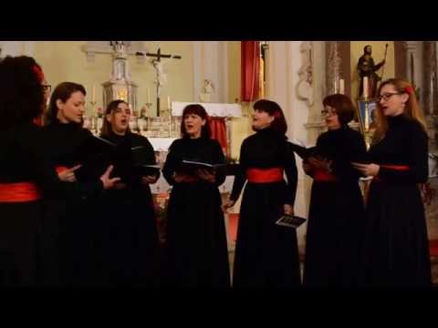 Klapa "Viole", Drvenik