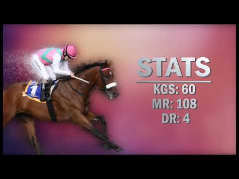 04 Made to Conquer PP 2