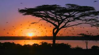 Morning Has Broken   -   The Mormon Tabernacle Choir