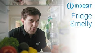 How to clean a smelly fridge | by Indesit