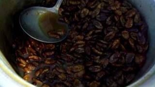 preview picture of video 'Korea Food- 번데기 Beondegi: steamed silkworm chrysalis'