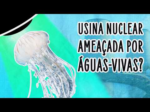 ÁGUAS-VIVAS FORÇAM O DESLIGAMENTO DE REATOR NUCLEAR NA FRANÇA | ABDUÇÃO