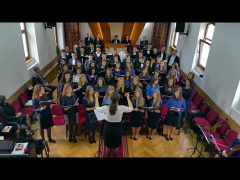 Akord media tineret - Singur in noaptea rece