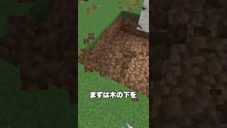 簡単に作れるTNTドッキリ💣️