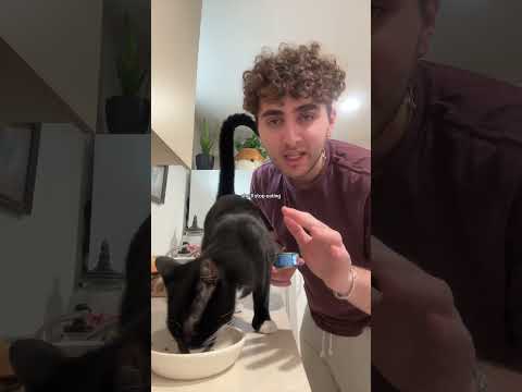 She was NOT born for the wild…