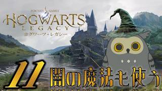 「Hogwarts Legacy/ホグワーツ・レガシー」　#11　エッホ、エッホ、全力疾走は疲れる