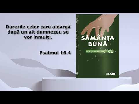 Odiseu și Orfeu - luni, 19 octombrie