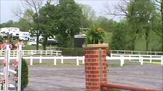 Gaerda at St  Christopher's 2012 Low Hunter 1st trip