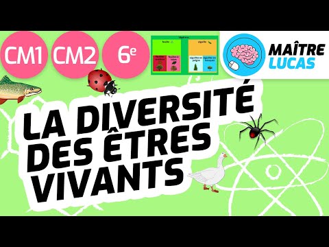 Diversité des êtres vivants - classer les êtres vivants CM1 - CM2 - 6ème Cycle 3 - Sciences