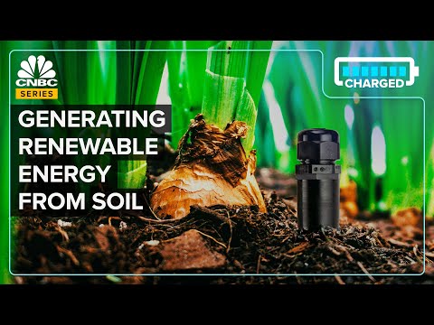 How Soil Could Be An Untapped Source Of Electricity