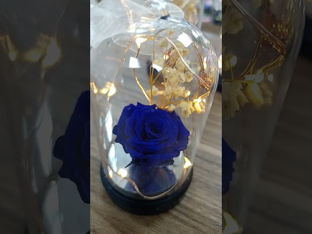 Vídeo relacionado con Gdecora Rosa Eterna Natural Preservada con Luces LED y Base de Madera - Cúpula de Cristal con Corazón - Regalo Original para Mujer, Madre, Novia Sant Jordi, Cumpleaños y Día de la Madre