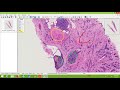 Imagescope Free Download Clips Mp3 and Mp4