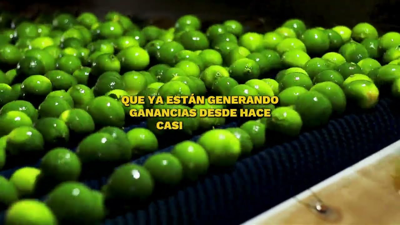 Miniatura del video