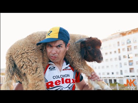 مغامرات جنيكو : الحلقة 6