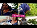 हम लोग ऐसे मानते हैं जियोटिया व्रत Dely Life