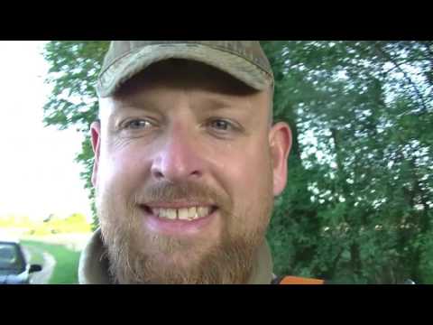 Sauen machen Schaden  in den Kartoffeln!! Abendansitz mit Verstärkung...