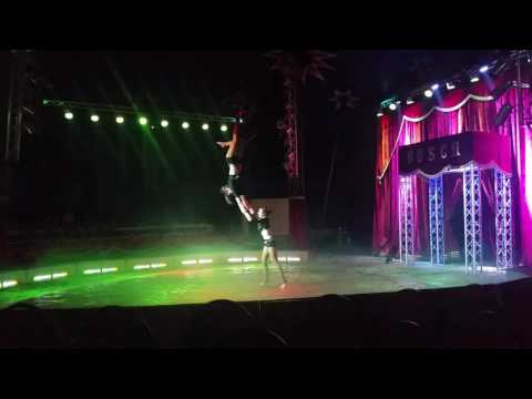 Die Silver Stars im Super Circus Busch 2016