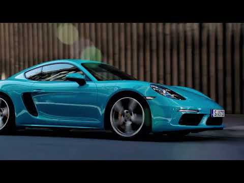 We Want You To Drive Event | Porsche West Palm Beach