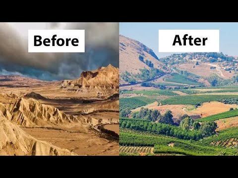 How Israel is Reforesting the Desert into a Green Forest & Farmland Oasis