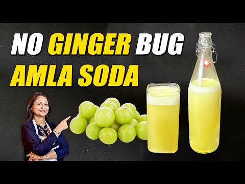 No Ginger Bug Amla Soda | Naturally Carbonated Probiotic Drink | How to Make FRUIT SODA at home