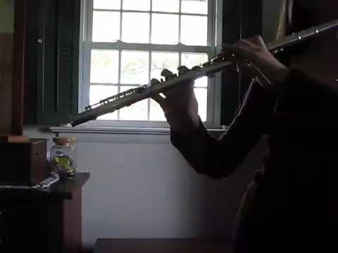 Yamaha 371 Allegro Flute Demo