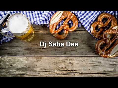 Dj Seba Dee - Zabavni mix 2025