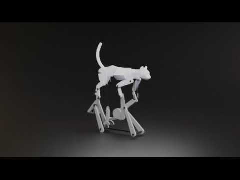 The Walking Cat Automata