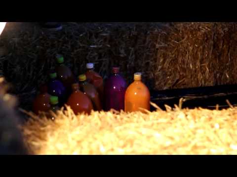 Haunted Safari at Wildlife Safari Park