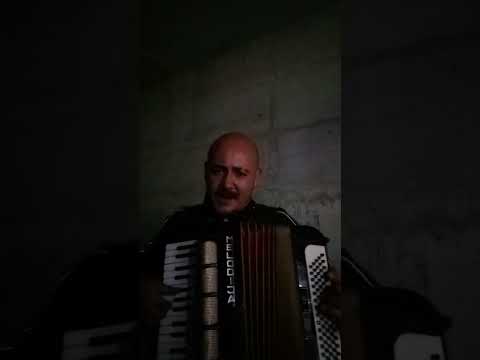 Šćepan Križ harmonika