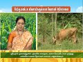 Pon Vilaiyum Bhoomi 18 06 2021 Agri Advisories Notes