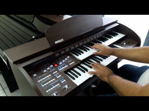 Órgão Eletrônico Digital Acordes Premium