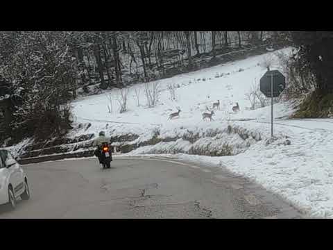 16 3 2022 WINTER RIDEERS