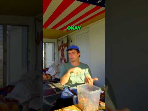 Mac's Unique Process Of Creating An Album #macdemarco #indiemusic