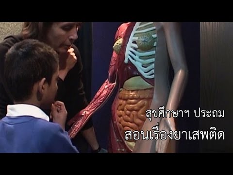ผู้หญิงได้รับ Exciter วิดีโอ ยาเพิ่มสมาชิก