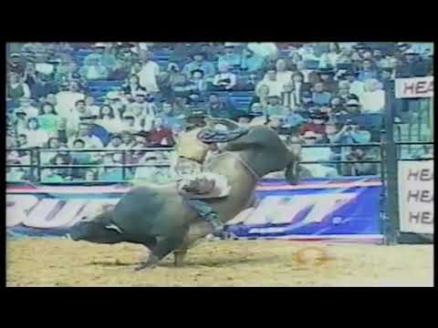 Troy Dunn vs Honky Tonk - 98 PBR Tampa (85.5 pts)