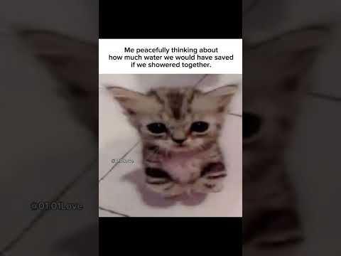 Can't we think about it #cat #savewatersavelife #savetheworld