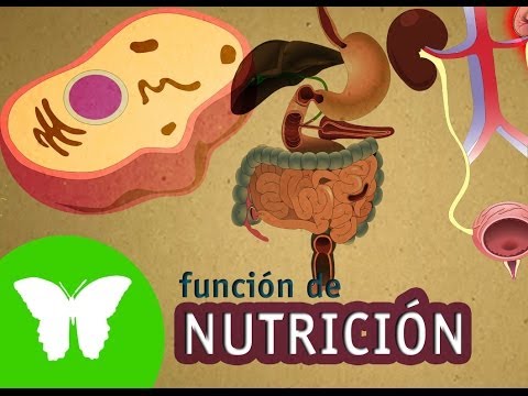 La Eduteca - La función de nutrición