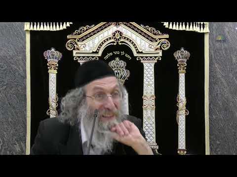 חינוך הבנים וויאזוי ?