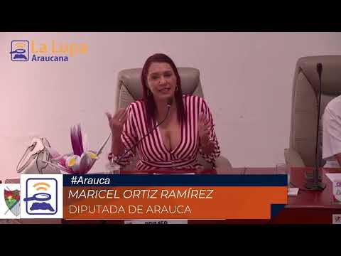 DIPUTADA DE ARAUCA RESALTÓ LOS RECURSOS ASIGNADOS PARA LA UIS EN SARAVENA ANUALMENTE