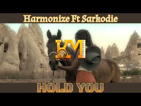 Harmonize ft. Sarkodie-Hold You(official music video)