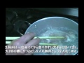 ムジ（田芋の茎）（ずいき）の汁・・沖縄料理