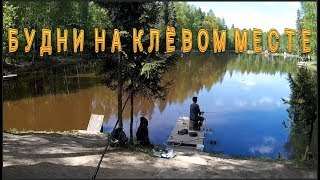 Клёвое место рыбалка лосиный остров форум