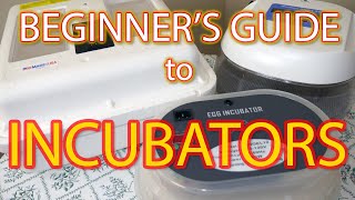 BEGINNER&#39;S GUIDE TO INCUBATORS - Choosing the right incubator for hatching coturnix quail.