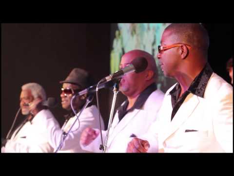 The Relatives - Let Your Light Shine