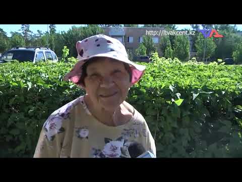 Выпуск программы "День" от 16 июня 2021г.