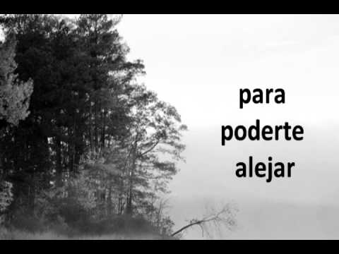 Mi mejor amiga - Noel Schajris