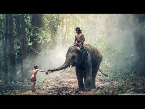 Infected Soul ft Andylloyd - Respect (Da Capos Afrotech Late Mix)